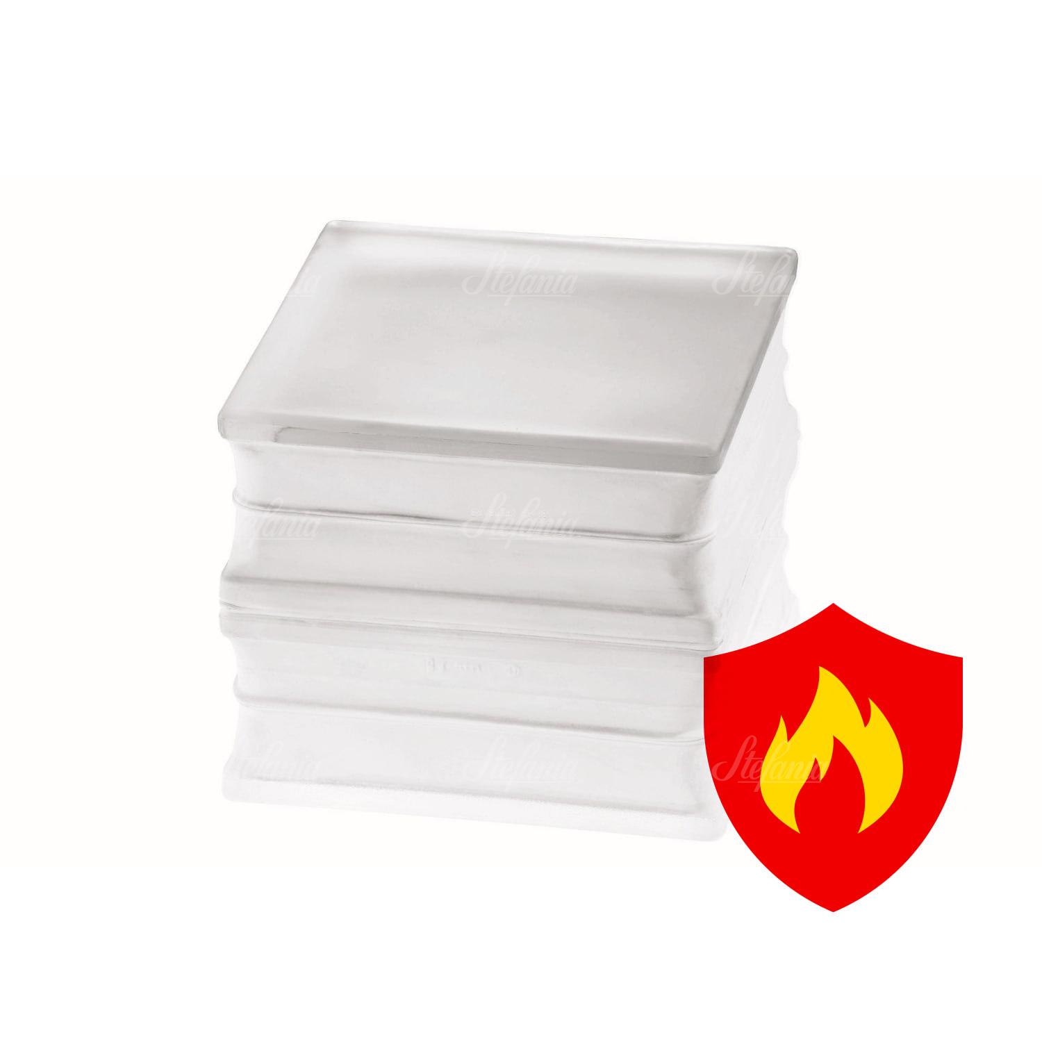 REI60 BG 1919/16 60F Clearview matowy ognioodporny pustak szklany luksfer stropowy